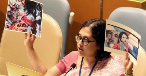 Will think about dealing with fake photos, UNGA prez says after Pakistan pic gaffe  