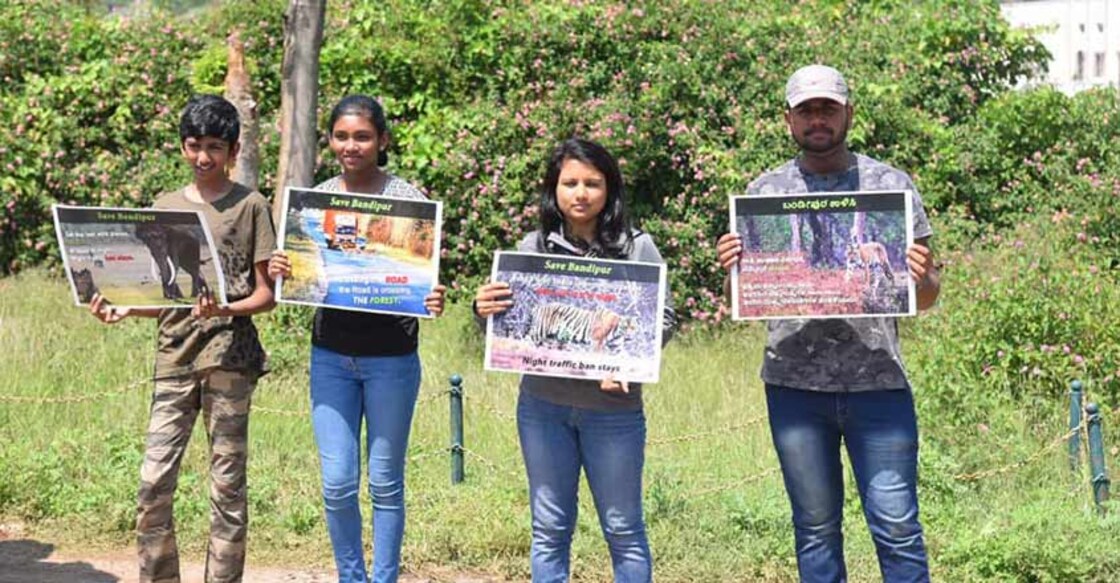 50K trees face the axe for Bandipur's elevated highway project 50K trees face the axe for Bandipur's elevated highway project