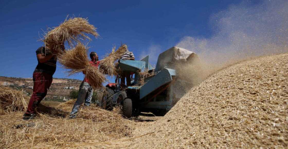 Govt hikes minimum support prices for crops amid row over farm bills