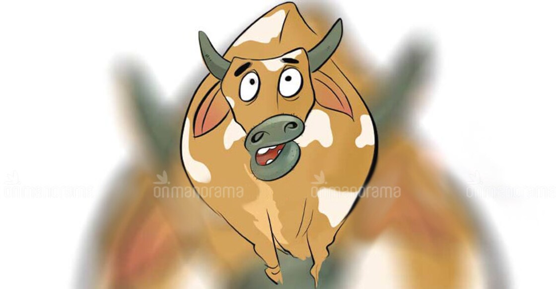 Law exam paper carries question on cow slaughter, triggers controversy