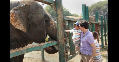 Justin Trudeau, family visits rescued elephants in UP