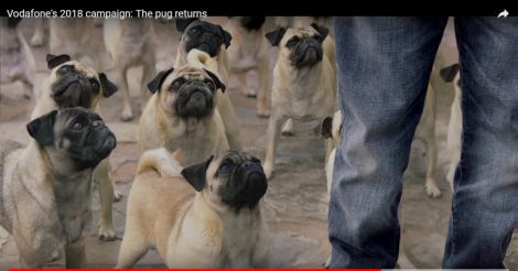 pug vodafone