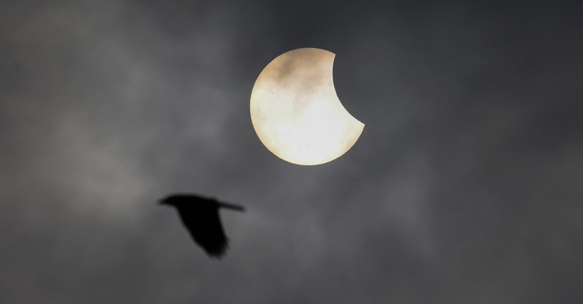 Photo story | How India saw the annular solar eclipse