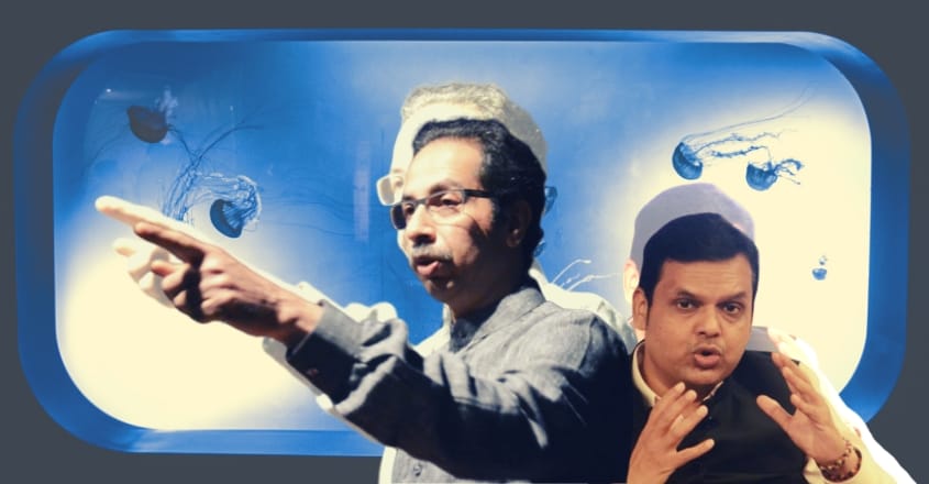 Uddhav may press pause on bullet trains, hyperloop to raise a big fish tank! Uddhav may press pause on bullet trains, hyperloop to raise a big fish tank!