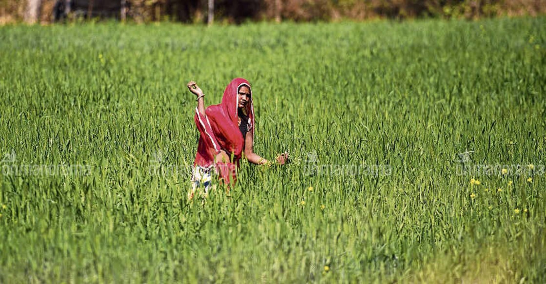 Govt notifies extension of PM-KISAN scheme to all farmers
