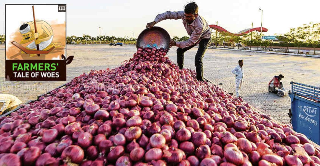 Agrarian distress: the plight of Maharashtra's onion farmers