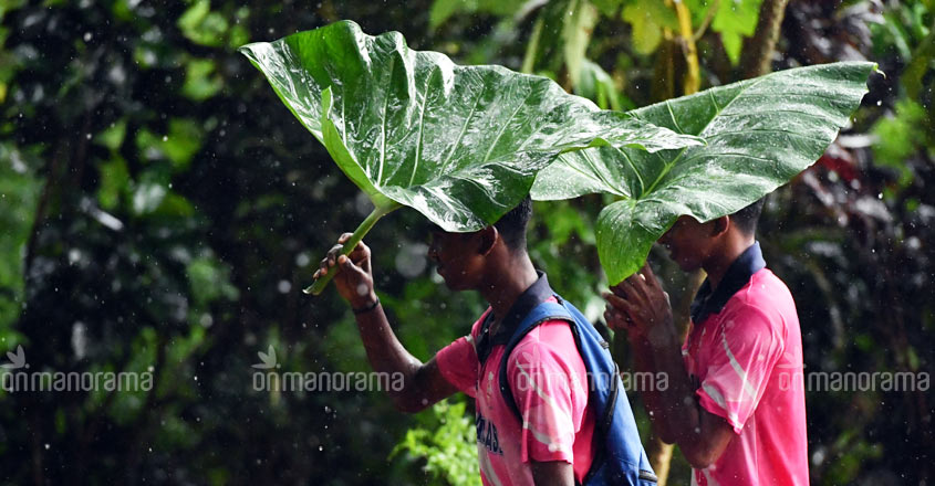 The southwest monsoon is on in Kerala: IMD
