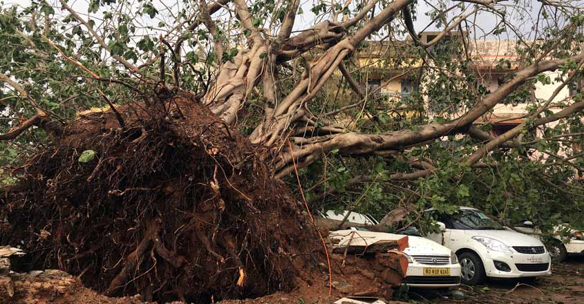 How lessons from 1999 prepared Odisha to face Fani How lessons from 1999 prepared Odisha to face Fani