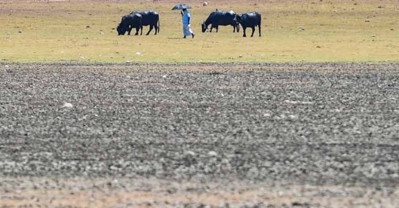 Without rain for 194 days, Chennai faces acute water shortage Without rain for 194 days, Chennai faces acute water shortage