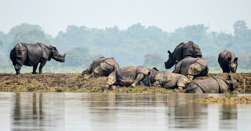 Floods in Assam force a million from their homes Floods in Assam force a million from their homes