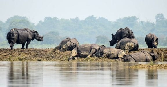 Over 22 lakh in Assam hit by floods, death toll now 76 Over 22 lakh in Assam hit by floods, death toll now 76