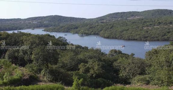 Interview: 'After the recent landslides, we have realised that all is not well in the Western Ghats' Interview: 'After the recent landslides, we have realised that all is not well in the Western Ghats'