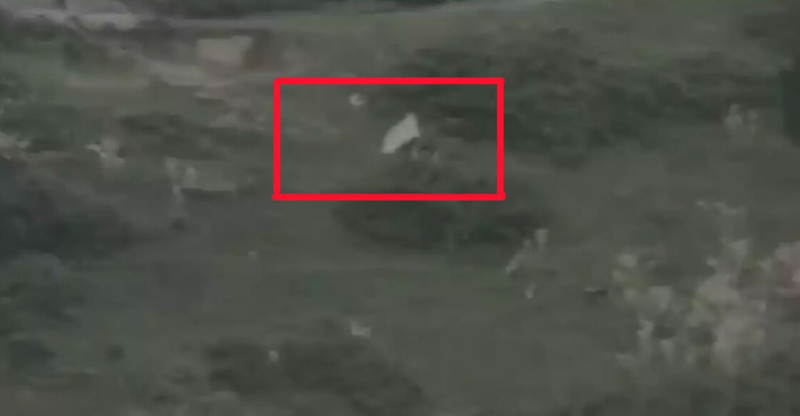 Pak raises white flag to retrieve bodies of its two soldiers along LoC Pak raises white flag to retrieve bodies of its two soldiers along LoC
