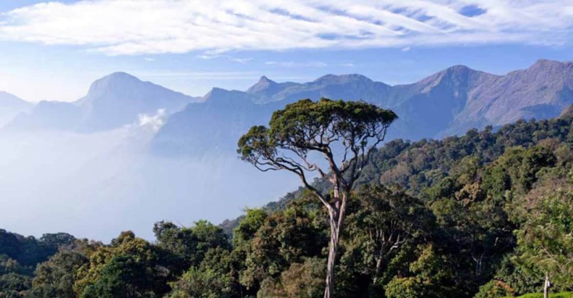 Final ESA notification on Western Ghats should not be further delayed, says NGT court