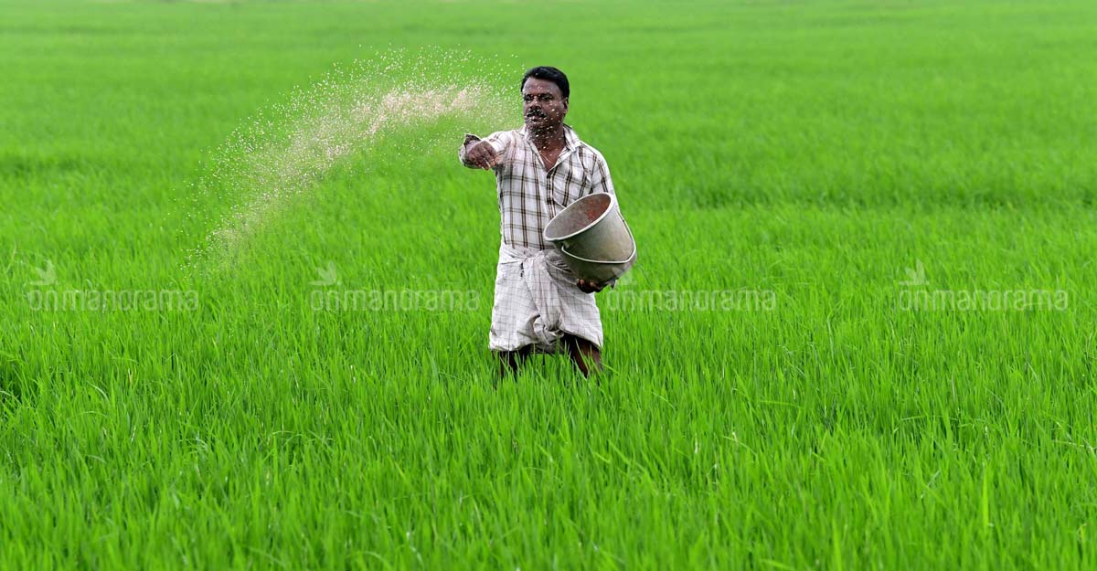 Agriculture 
