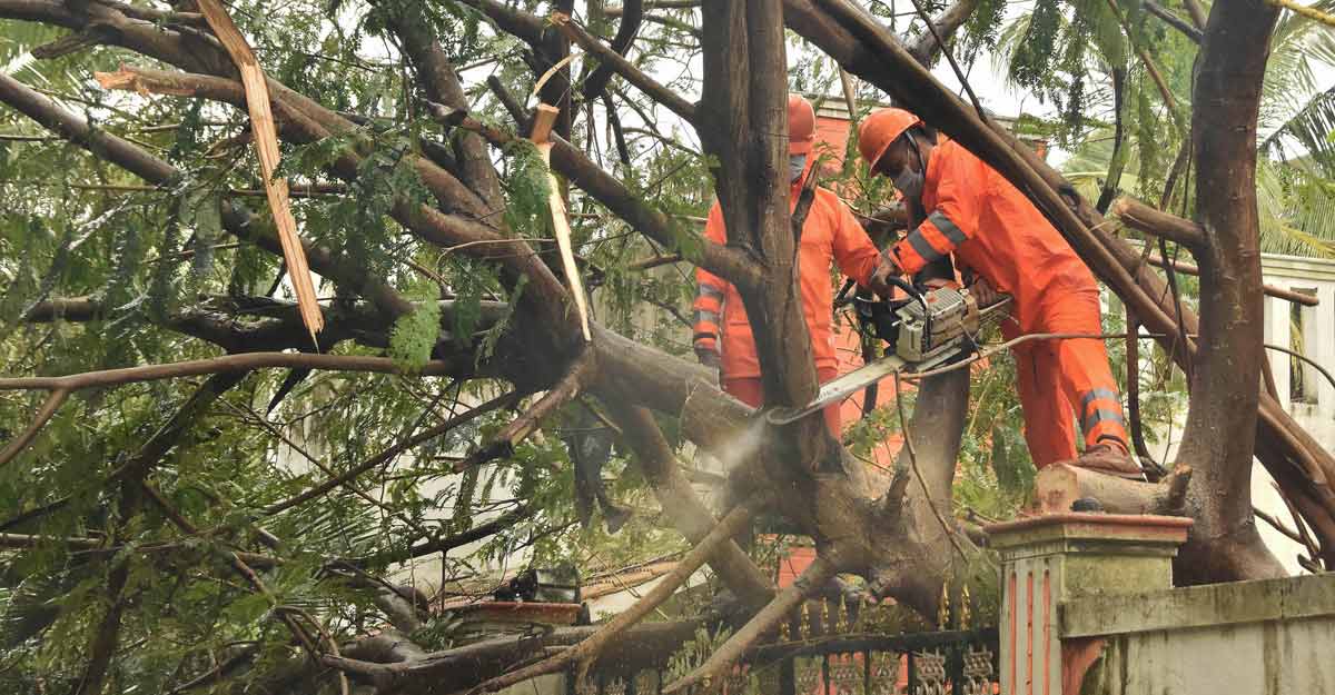 Nivar makes landfall, weakens into severe cyclonic storm Nivar makes landfall, weakens into severe cyclonic storm