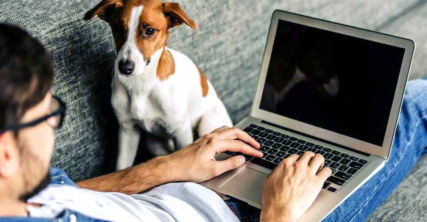 Work from home
