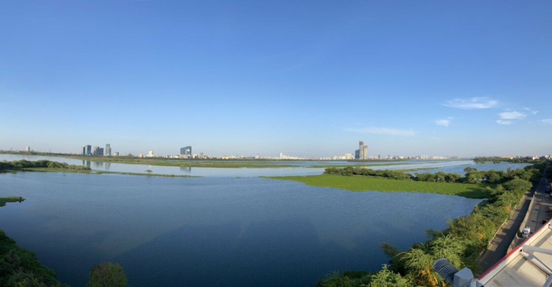 Yamuna cleaner, fuller due to lockdown? NGT panel asks CPCB, DPCC to find out