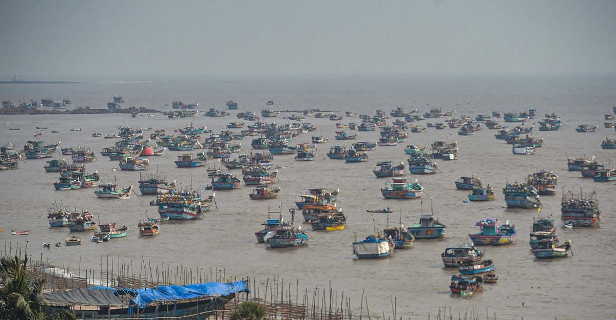 After days of hunger fishermen go to sea But can they sell their fish? After days of hunger fishermen go to sea But can they sell their fish?