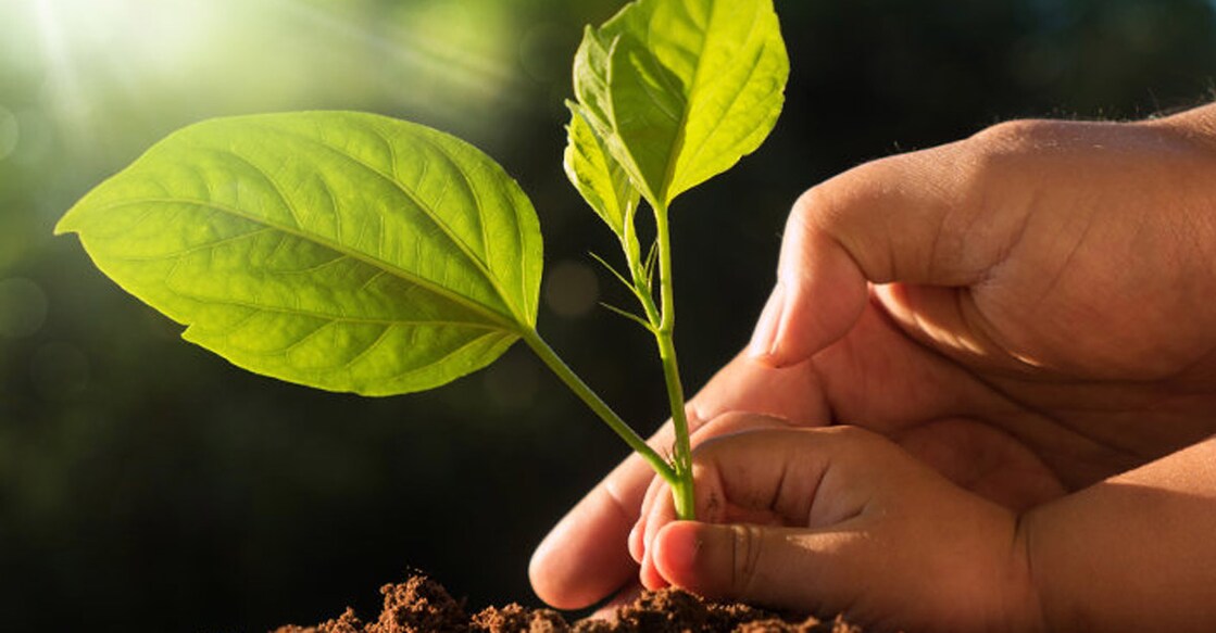 Our ethos is to live with the nature, Centre on World Environment Day