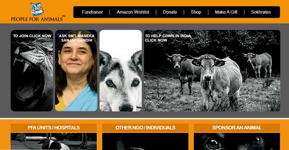 Kerala cyber warriors hack Maneka Gandhi's NGO website over her remarks on Malappuram Kerala cyber warriors hack Maneka Gandhi's NGO website over her remarks on Malappuram