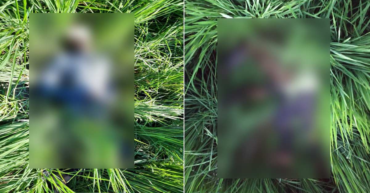 Five intruders shot dead by BSF along India-Pak IB in Punjab