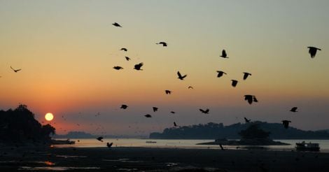 River Brahmaputra