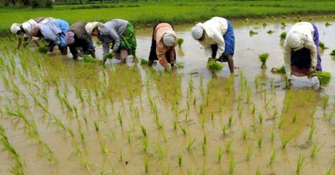 Do not ruin farmers' livelihood