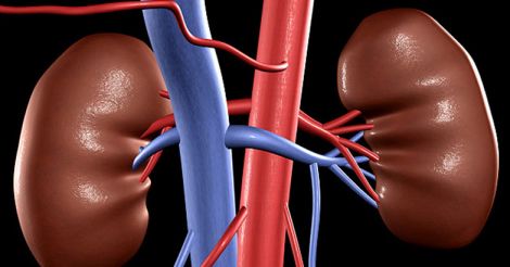 Kidney rackets flourish in Kerala, official calls for new organ transplant rules