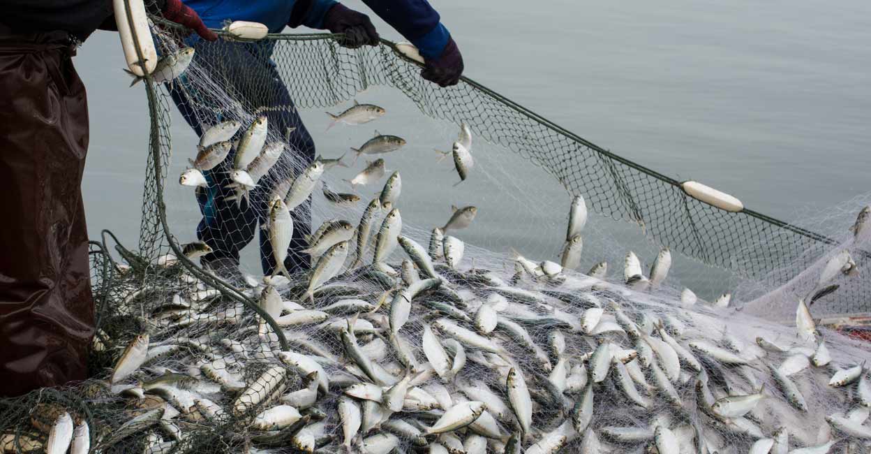 shutterstock-fishing