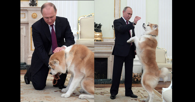 Putin�s pets a look at president�s love of animals Video, pix