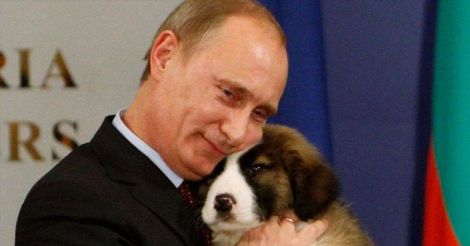 Putin's pets: a glance at president's love of dogs