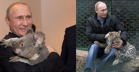 Putin's pets: a glance at president's love of dogs