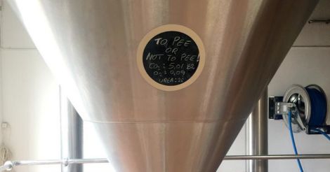 Ready for a bottle of 'pee'r? Danish brewery collects 50k liters of ...
