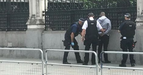 Cops fire stun gun at knife-wielding man near UK parliament