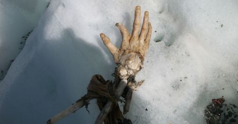 Human remains found on Mont Blanc could be of Air India crash victims