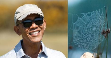 New 'smiley-faced' spider species named after Barack Obama