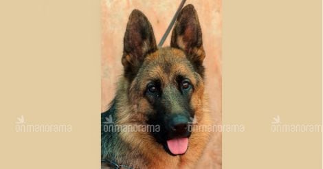 Dog held hostage for 33 hours by Delta Airlines?