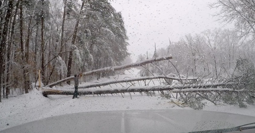 Winter storm kills one, knocks out power to 310,000 in US Southeast ...