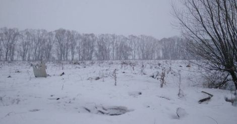 moscow-plane-crash-4