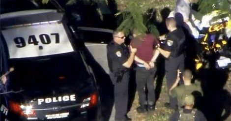 Ex-student kills 17 in shooting spree at Florida school