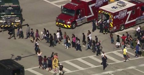 Ex-student kills 17 in shooting spree at Florida high school