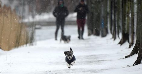 Snowstorms shut down Ireland, Britain calls in army for hospitals