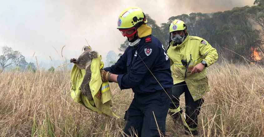 Giant blaze in Australia blankets Sydney in hazardous smoke Giant blaze in Australia blankets Sydney in hazardous smoke