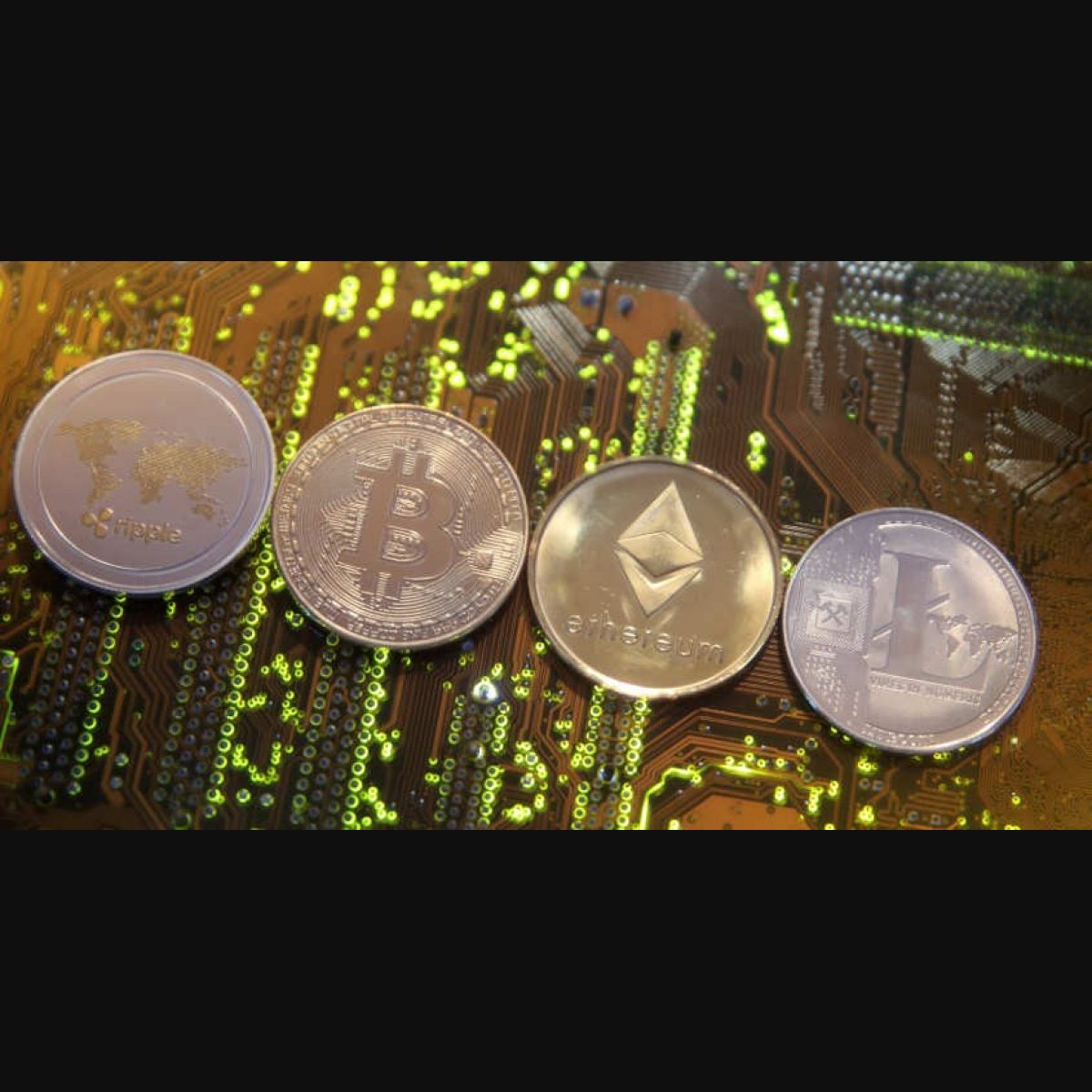 Crypto exchange Giottus lists bitsCrunch on its platform | Onmanorama |  Business News