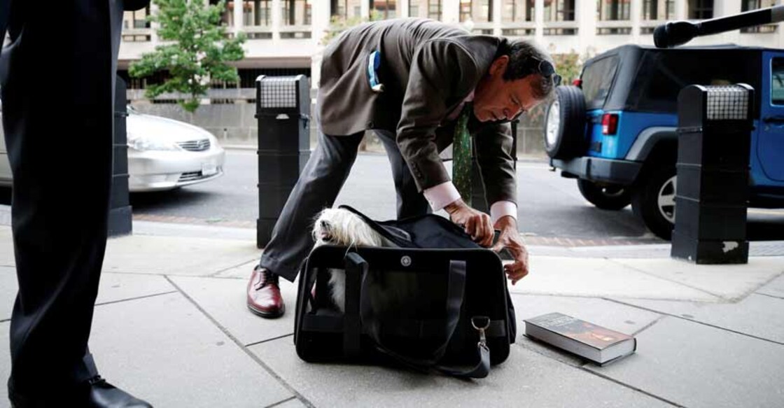 Ostrich jacket, fake rallies, therapy dogs and other odd scenes in Trump-Russia probe