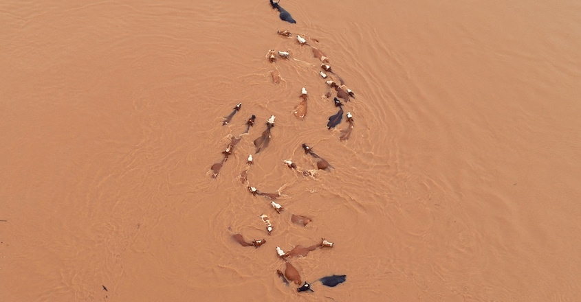 61 dead, 350,000 evacuated so far amid heavy rain, floods in China ...