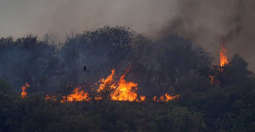 Europe stifling under record heat wave amid wildfires, power cuts Europe stifling under record heat wave amid wildfires, power cuts