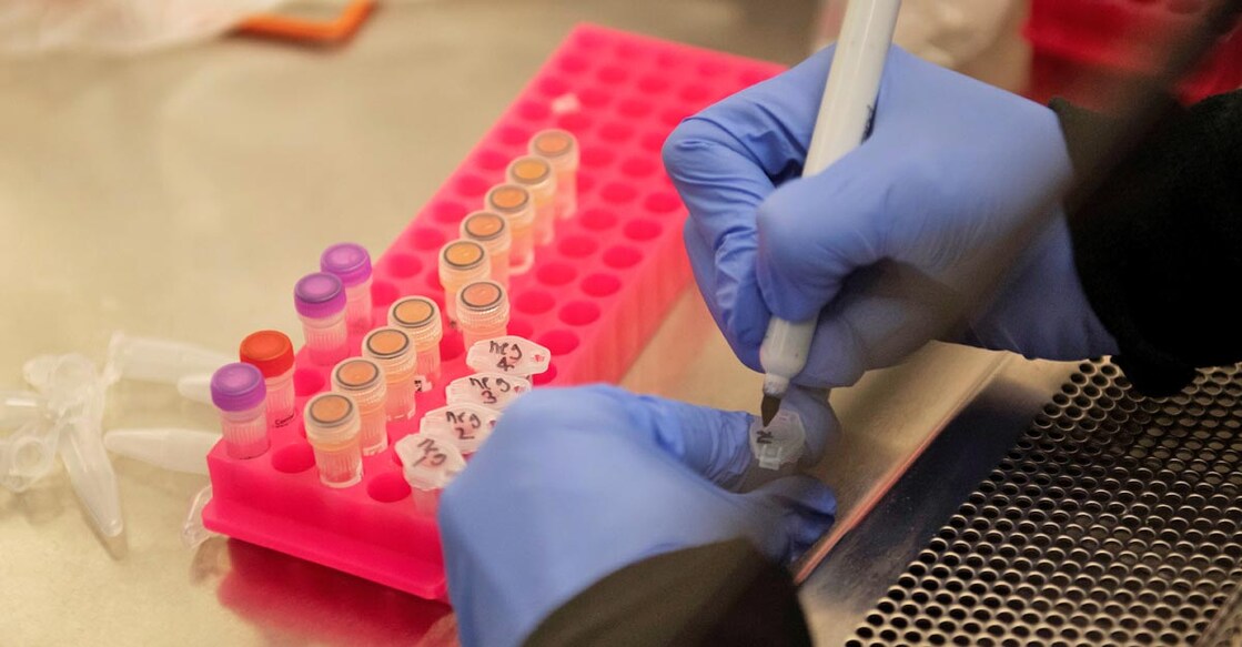 Were COVID-19 rapid test kits imported from China overpriced? Fresh row erupts