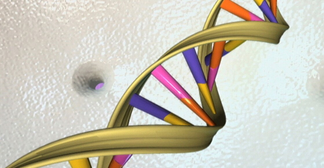 More infectious coronavirus mutation may be 'a good thing', says disease expert More infectious coronavirus mutation may be 'a good thing', says disease expert